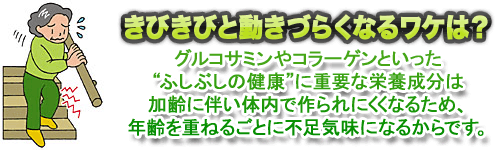 �O���R�T�~�����R���[�Q��